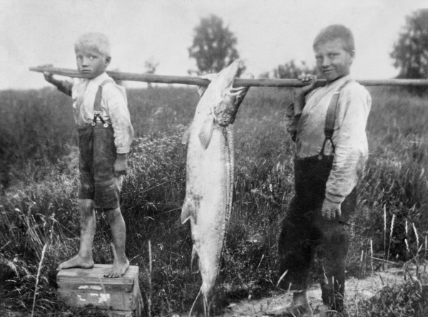kaksi poikaa kantavat kalasaalista